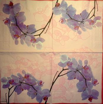 079 Orchideen - 3-lagig (rosa) - Ambiente